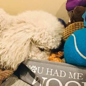 Meet your Posher, Randi